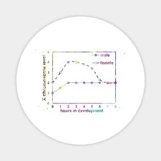 X chromosome expression levels in the two sexes Magnet